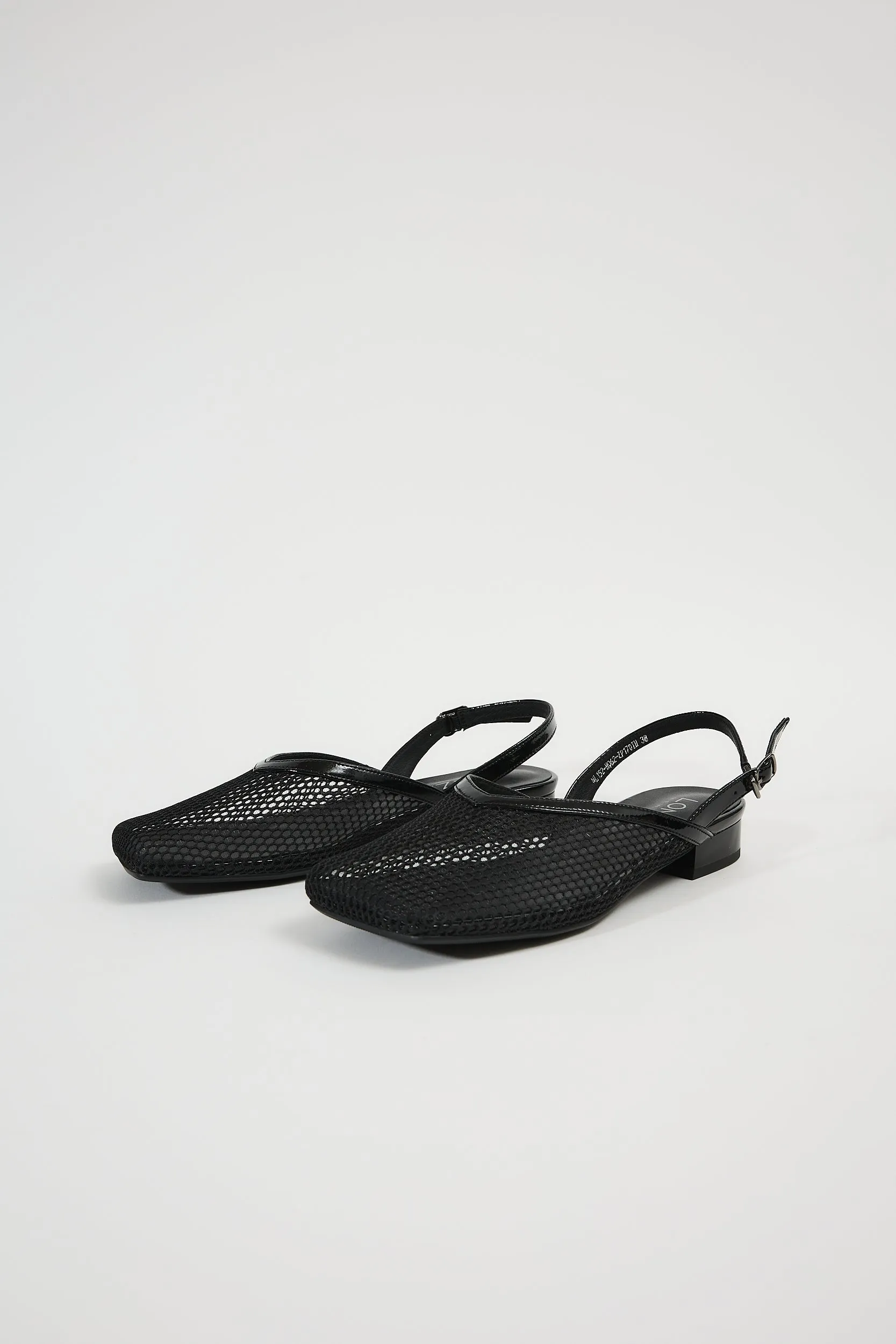Galia Black