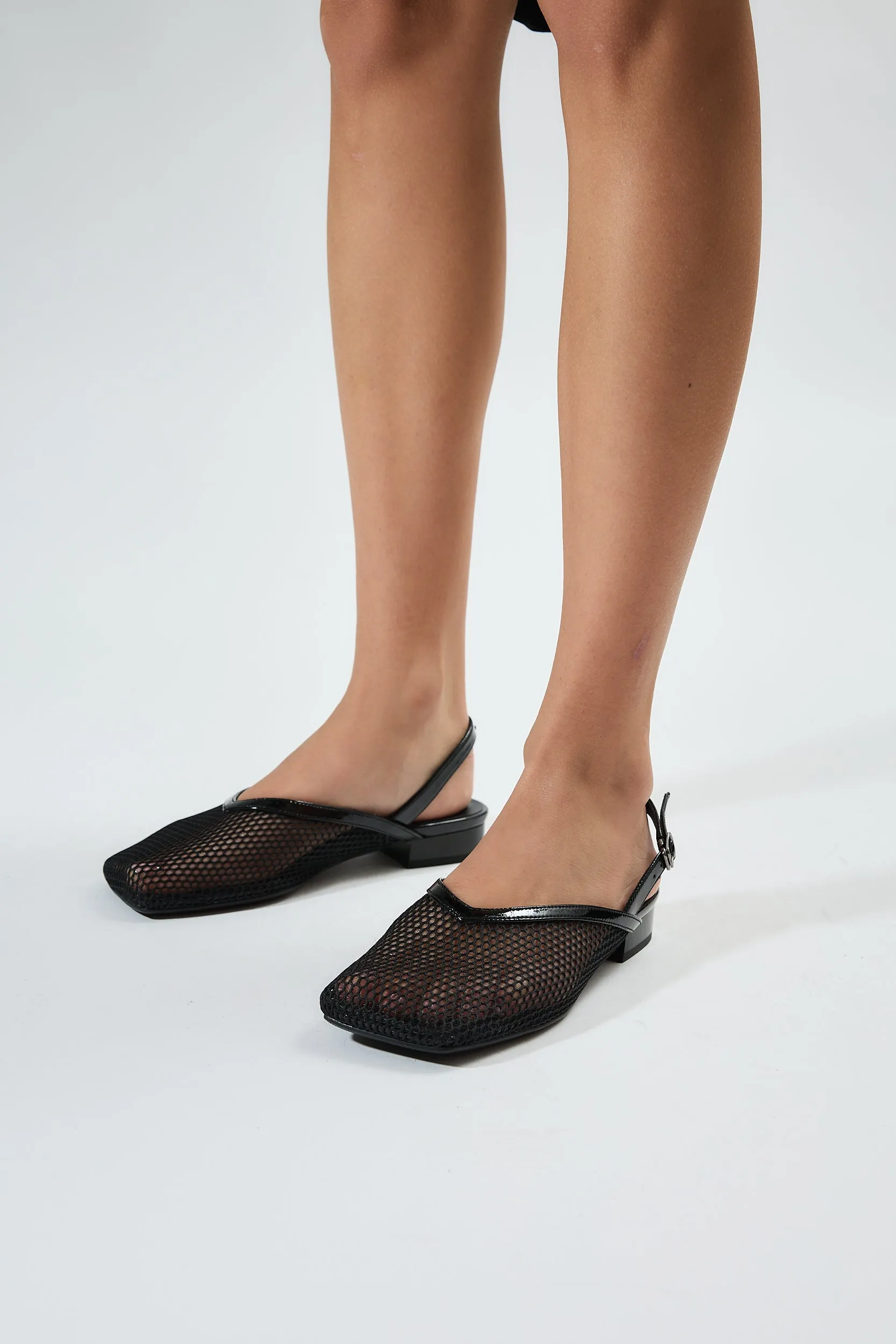 Galia Black