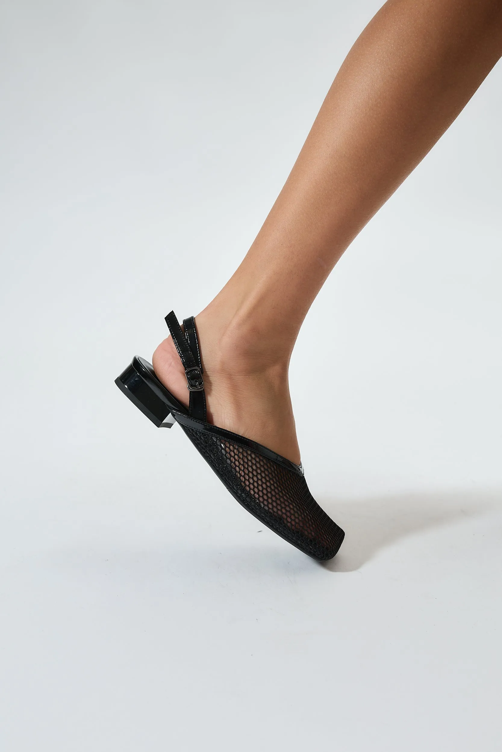 Galia Black