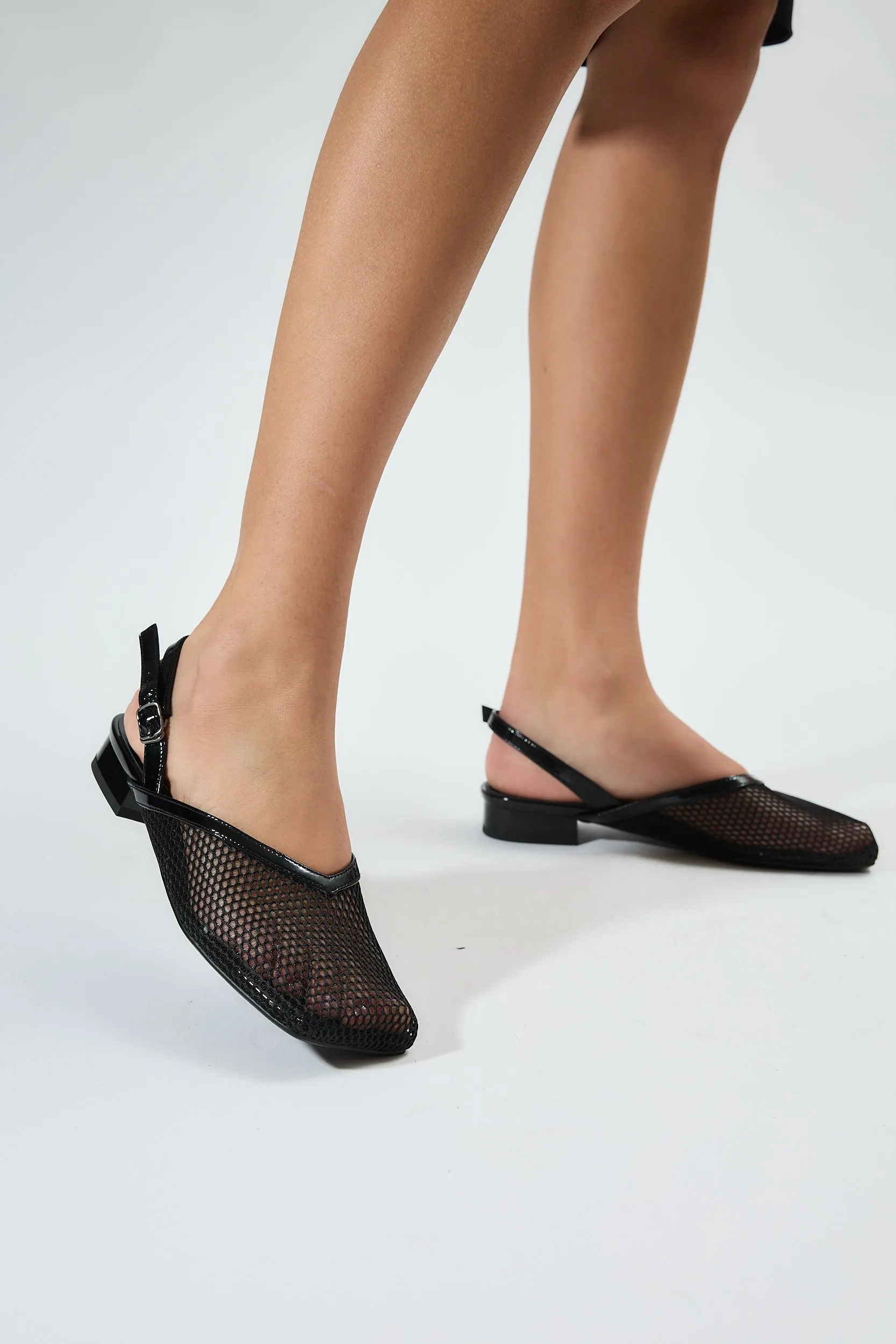 Galia Black