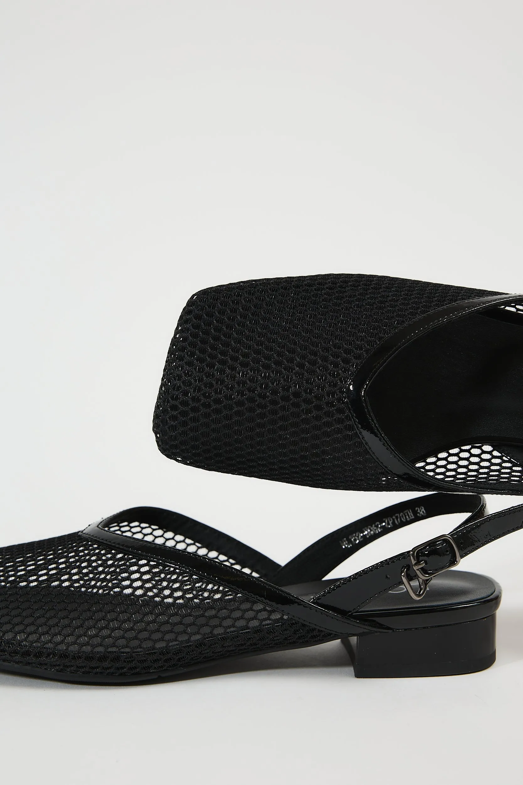 Galia Black