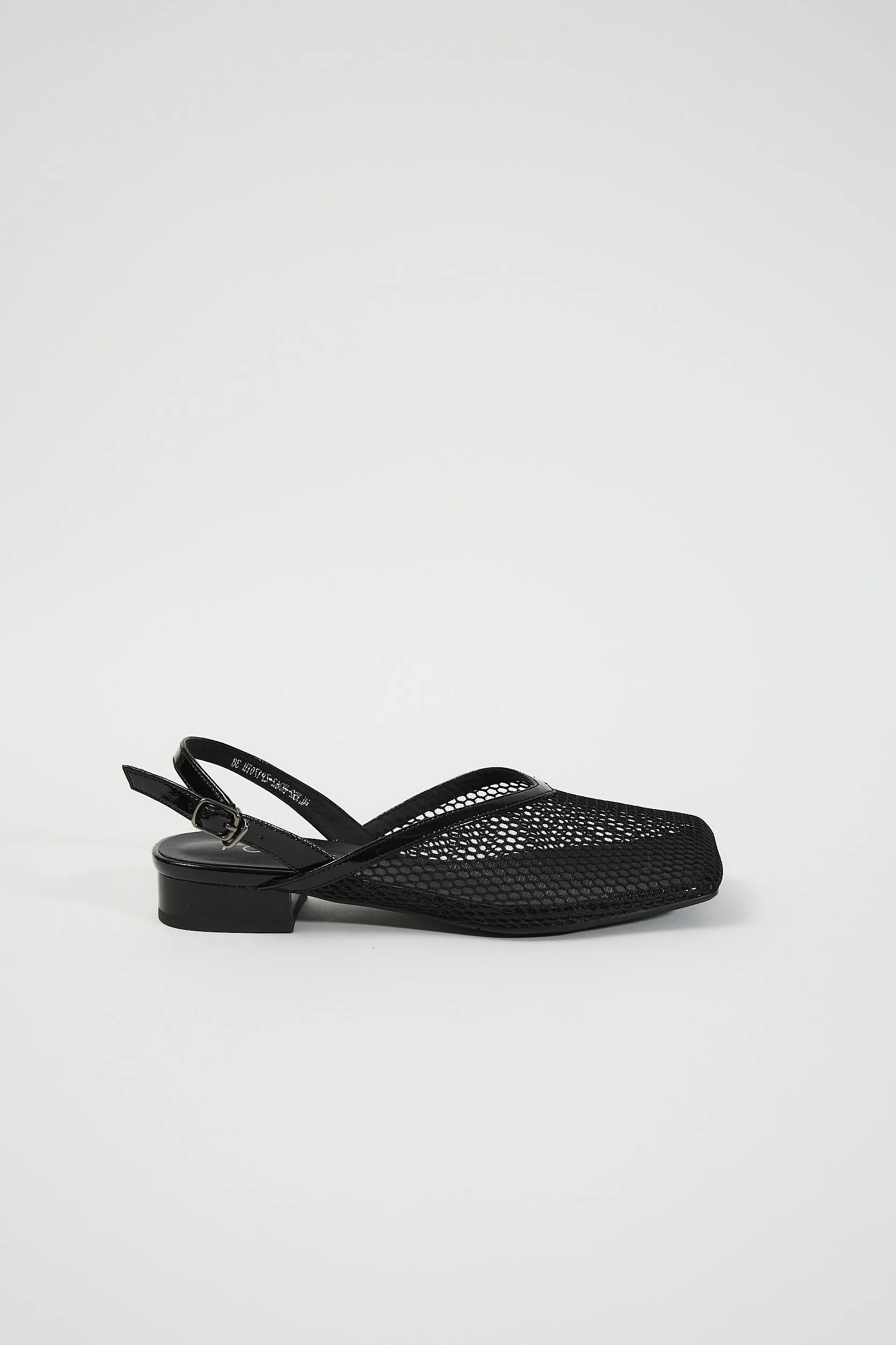 Galia Black